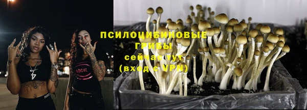твердый Белоозёрский