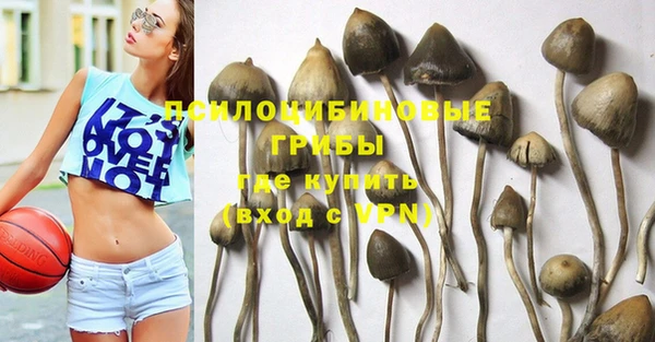 спайс Беломорск