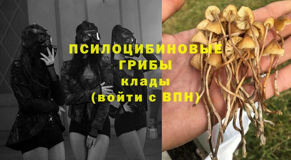 мдма Белокуриха