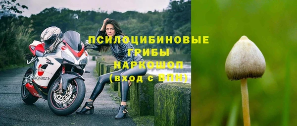 мдма Белокуриха