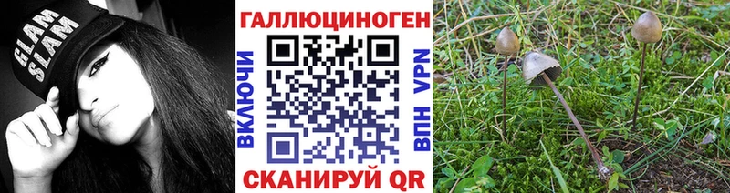 Галлюциногенные грибы Cubensis дарк нет телеграм Белый ссылка на мегу зеркало